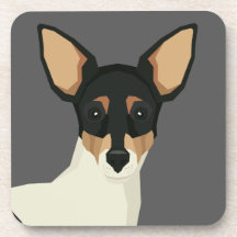 Toy Fox Terrier