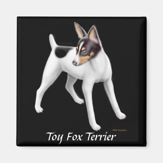 Toy Fox Terrier Magnet (Devant)