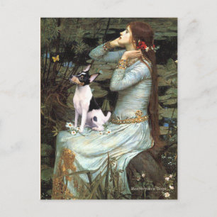 Toy Fox Terrier - Ophelia sitzend Postkarte