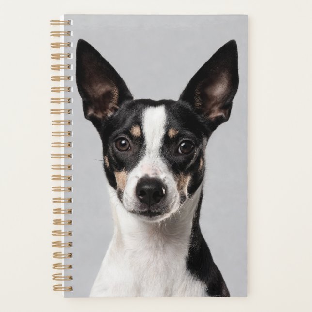 Toy Fox Terrier Planer (Vorderseite)