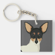 Toy Fox Terrier