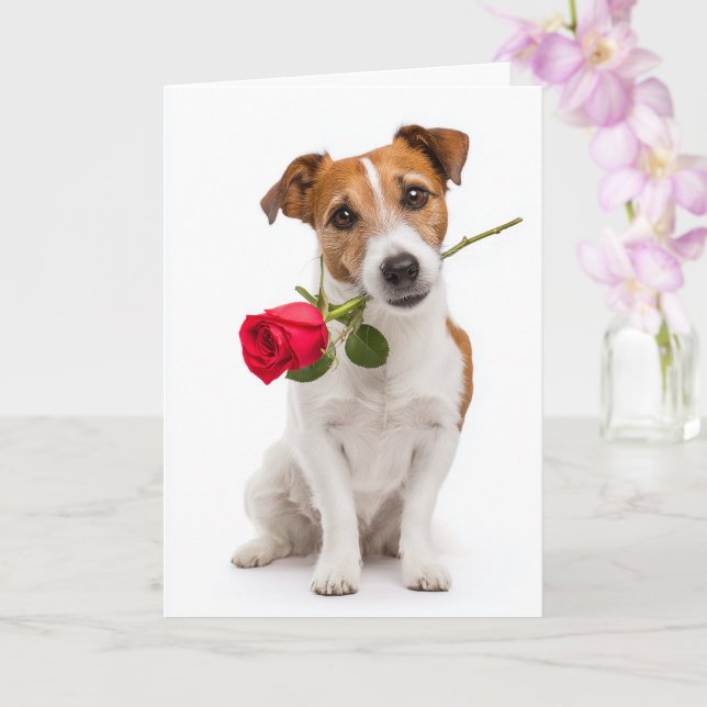 Toy Fox Terrier Valentinstag Karte (Orchidee)