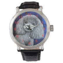 Toy Poodle