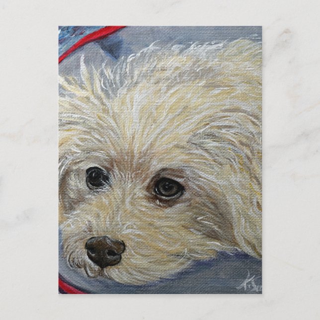 Toy Poodle Painting - Cece Postkarte (Vorderseite)
