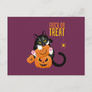 Trace ou Treat halloween Chat fun Carte postale
