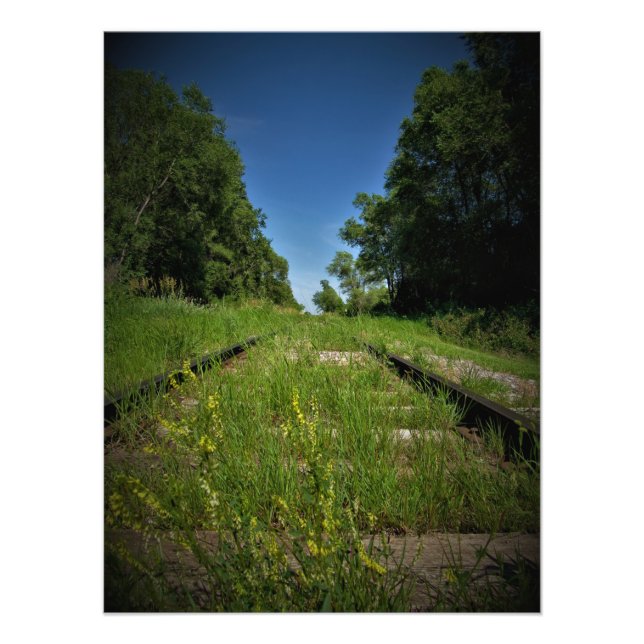 "Track and Field" Fotodruck (Vorne)
