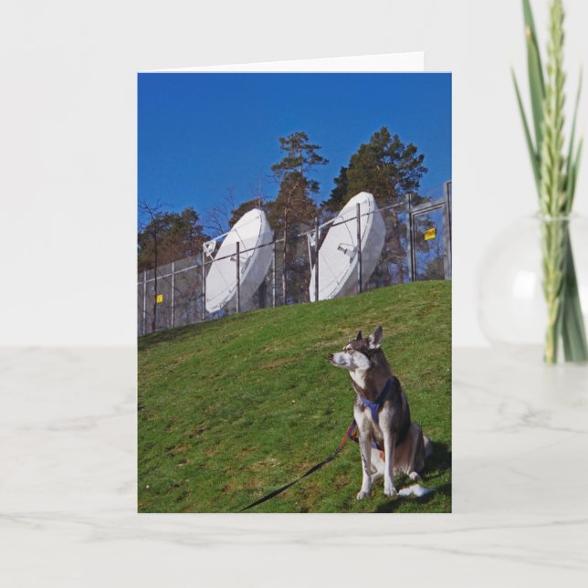 Tracker Karte (Vorderseite)