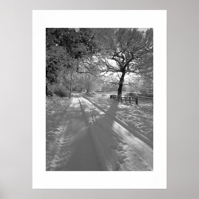 Tracks in the Snow: Cheshire Poster (Vorne)