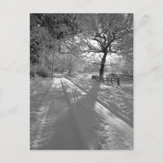 Tracks in the Snow: Cheshire Postkarte