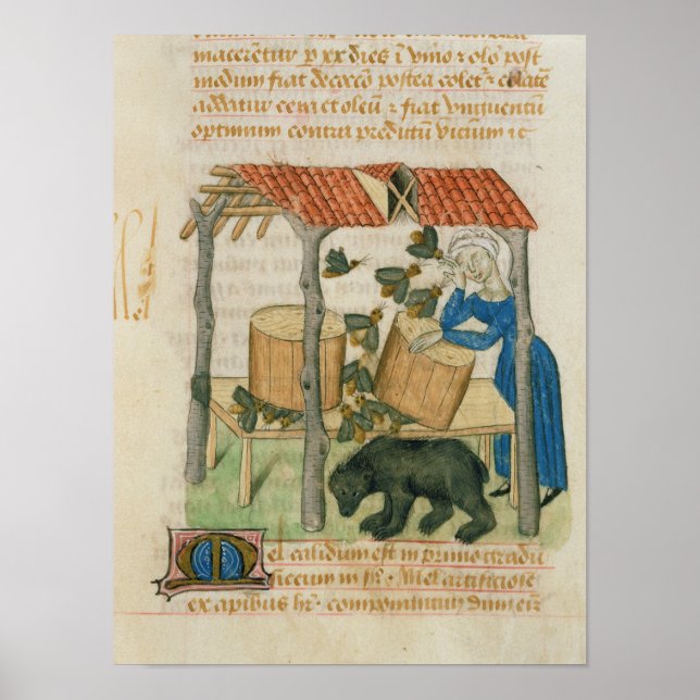 Tractatus de Herbis' Poster (Vorne)