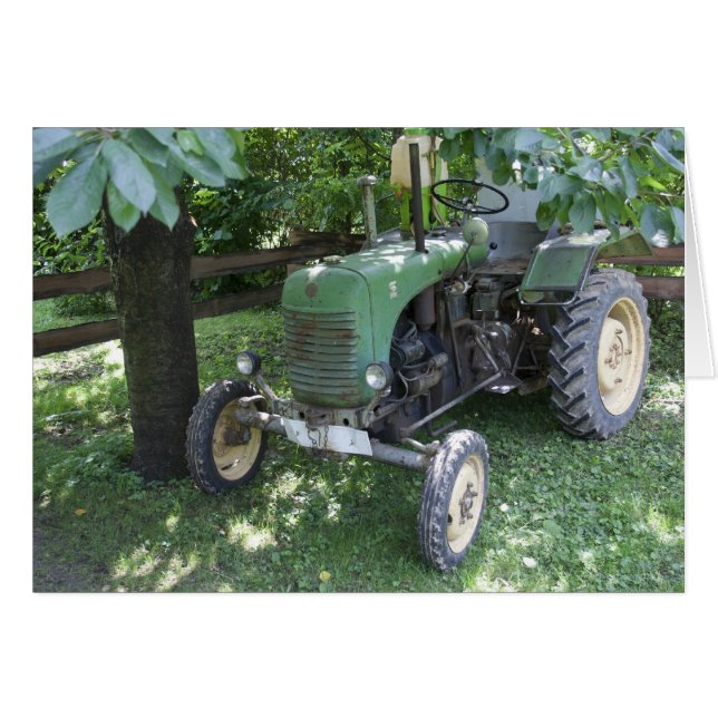 Tracteur Green Steyr 80A (Devant horizontal)