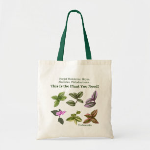 Tradescantia Dies ist die Pflanze, die Sie brauche Tragetasche