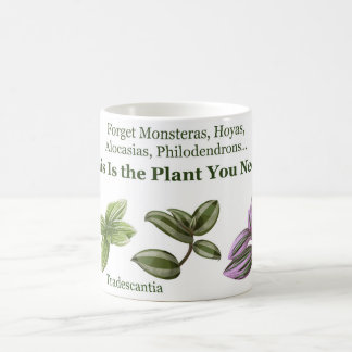 Tradescantia Tasse 3