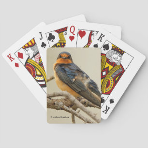Trading Stares with a Barn Swallow Spielkarten