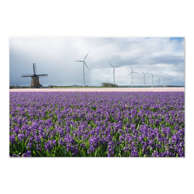 Traditionelle und moderne Windmühle in Holland dru Fotodruck (Vorne)