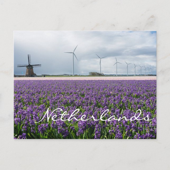 Traditionelle und moderne Windmühle, Niederlande Postkarte (Vorderseite)