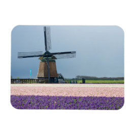 Traditionelle Windmühle mit rosa und violetten Blu Magnet