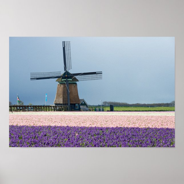 Traditionelle Windmühle mit rosa und violetten Blu Poster (Vorne)