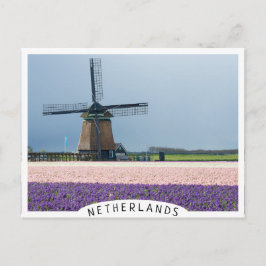 Traditionelle Windmühle mit rosa und violetten Blu Postkarte
