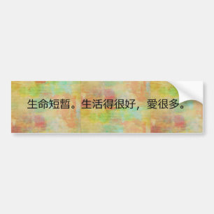 Traditionelles Chinesisch - Das Leben ist kurz Autoaufkleber
