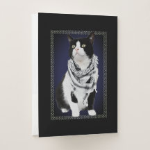 Traditionelles palästinensisches Kufiya mit Katze