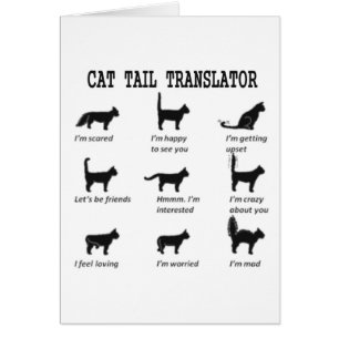 TRADUCTEUR DE TAILLE CAT