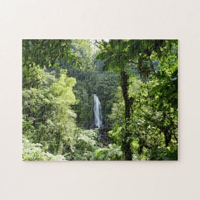 Trafalgar Falls Tropical Rainforest Fotografie (Horizontal)