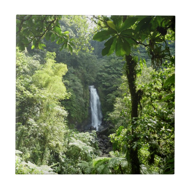 Trafalgar Falls Tropical Rainforest Fotografie Fliese (Vorderseite)
