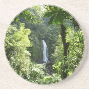 Trafalgar Falls Tropical Rainforest Fotografie Getränkeuntersetzer