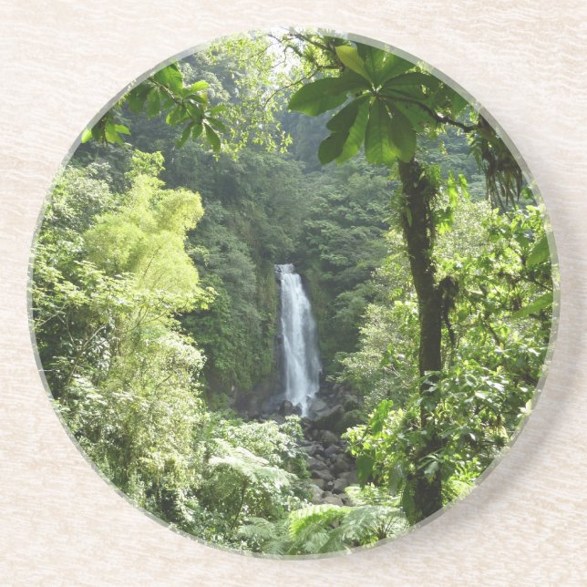 Trafalgar Falls Tropical Rainforest Fotografie Getränkeuntersetzer (Vorne)