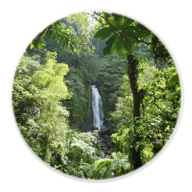Trafalgar Falls Tropical Rainforest Fotografie Keramikknauf (Vorderseite)