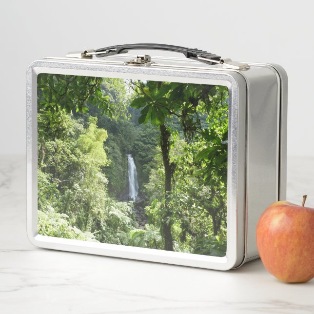 Trafalgar Falls Tropical Rainforest Fotografie Metall Brotdose (Beispiel)