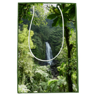 Trafalgar Falls Tropical Rainforest Fotografie Mittlere Geschenktüte