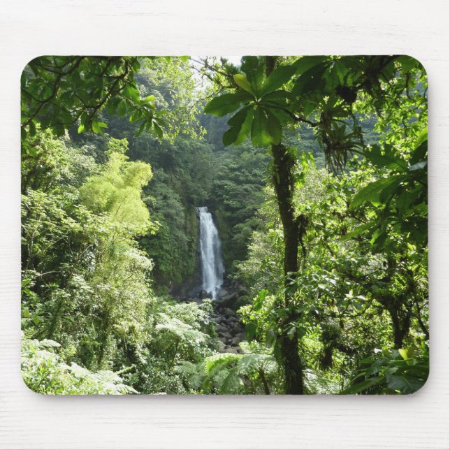 Trafalgar Falls Tropical Rainforest Fotografie Mousepad (Vorne)