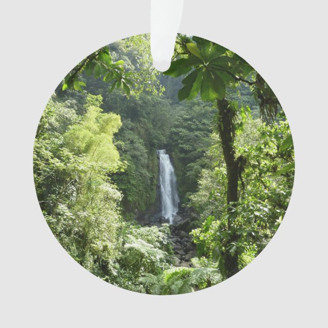 Trafalgar Falls Tropical Rainforest Fotografie Ornament (Vorderseite)