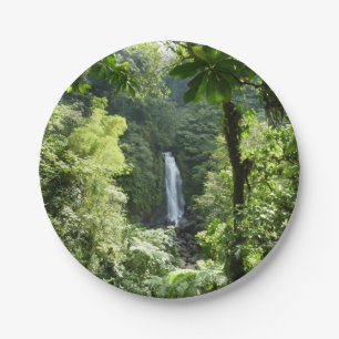 Trafalgar Falls Tropical Rainforest Fotografie Pappteller