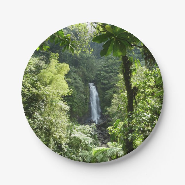 Trafalgar Falls Tropical Rainforest Fotografie Pappteller (Vorderseite)