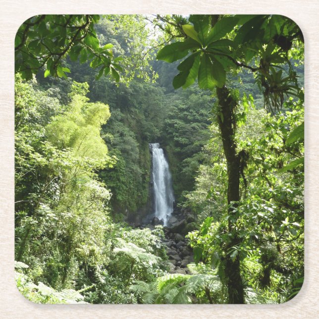 Trafalgar Falls Tropical Rainforest Fotografie Rechteckiger Pappuntersetzer (Vorderseite)