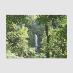 Trafalgar Falls Tropical Rainforest Fotografie Seidenpapier