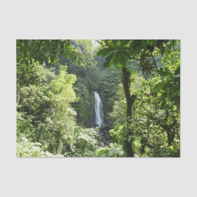 Trafalgar Falls Tropical Rainforest Fotografie Seidenpapier (Vorderseite)