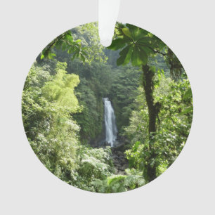 Trafalgar Falls Tropical Rainforest Photographie