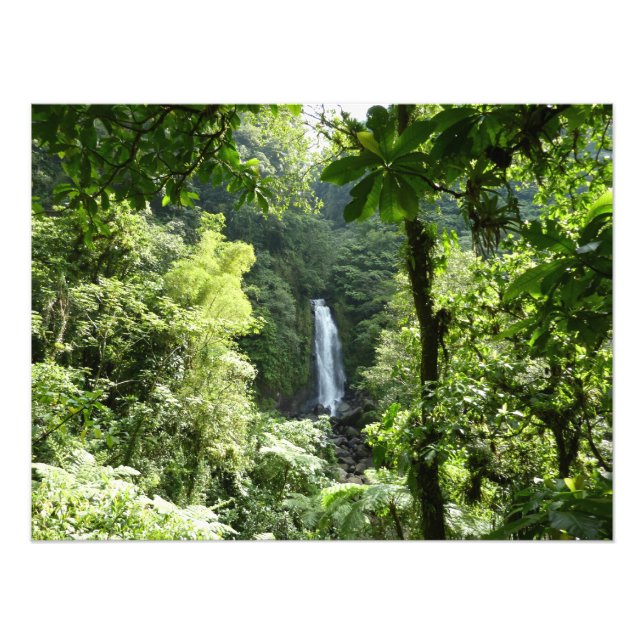 Trafalgar Falls Tropical Rainforest Photographie (Devant)
