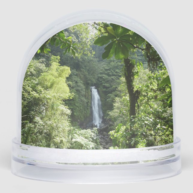Trafalgar Falls Tropical Rainforest Photography (Avant)