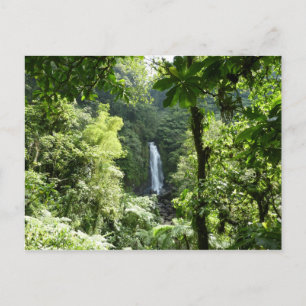 Trafalgar Falls Tropischer Regenwald Fotografie Postkarte