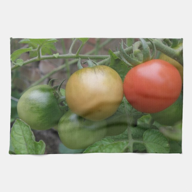 Traffic Light Tomates Küchentücher (Horizontal)