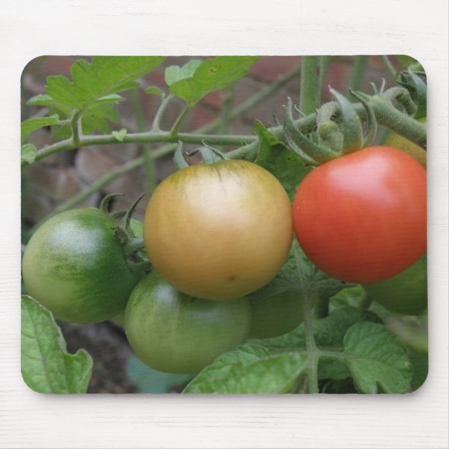 Traffic Light Tomatoes Mousepad (Vorne)