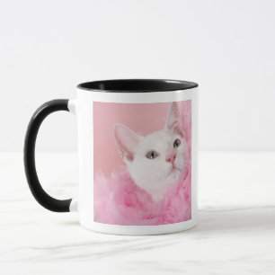 Tragende Federboa der Katze Tasse