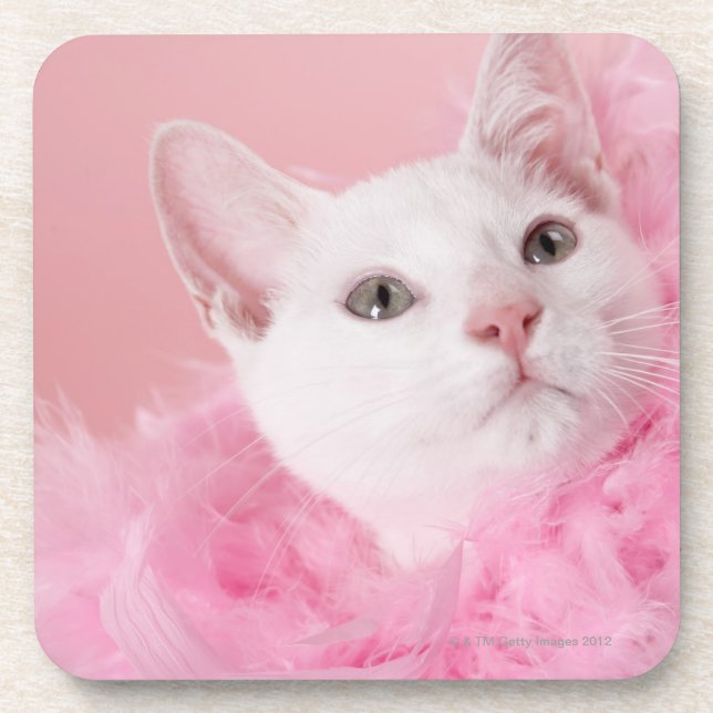 Tragende Federboa der Katze Untersetzer (Vorderseite)