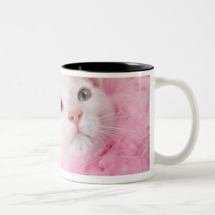 Tragende Federboa der Katze Zweifarbige Tasse