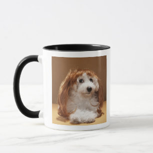 Tragende Ingwerperücke des Welpen Tasse